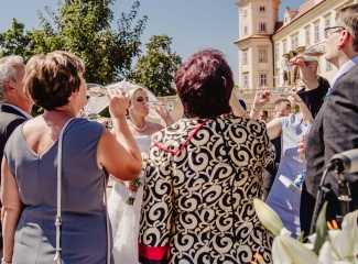svatební fotograf zámek Mníšek pod Brdy, svatba na zámku, letní nejkrásnější zámecká svatba, Bára a Ondra-59